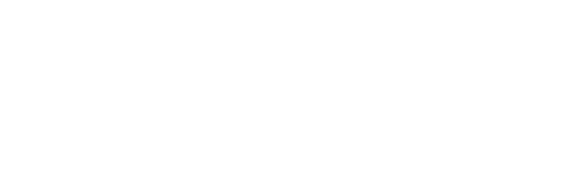 BudgetIn